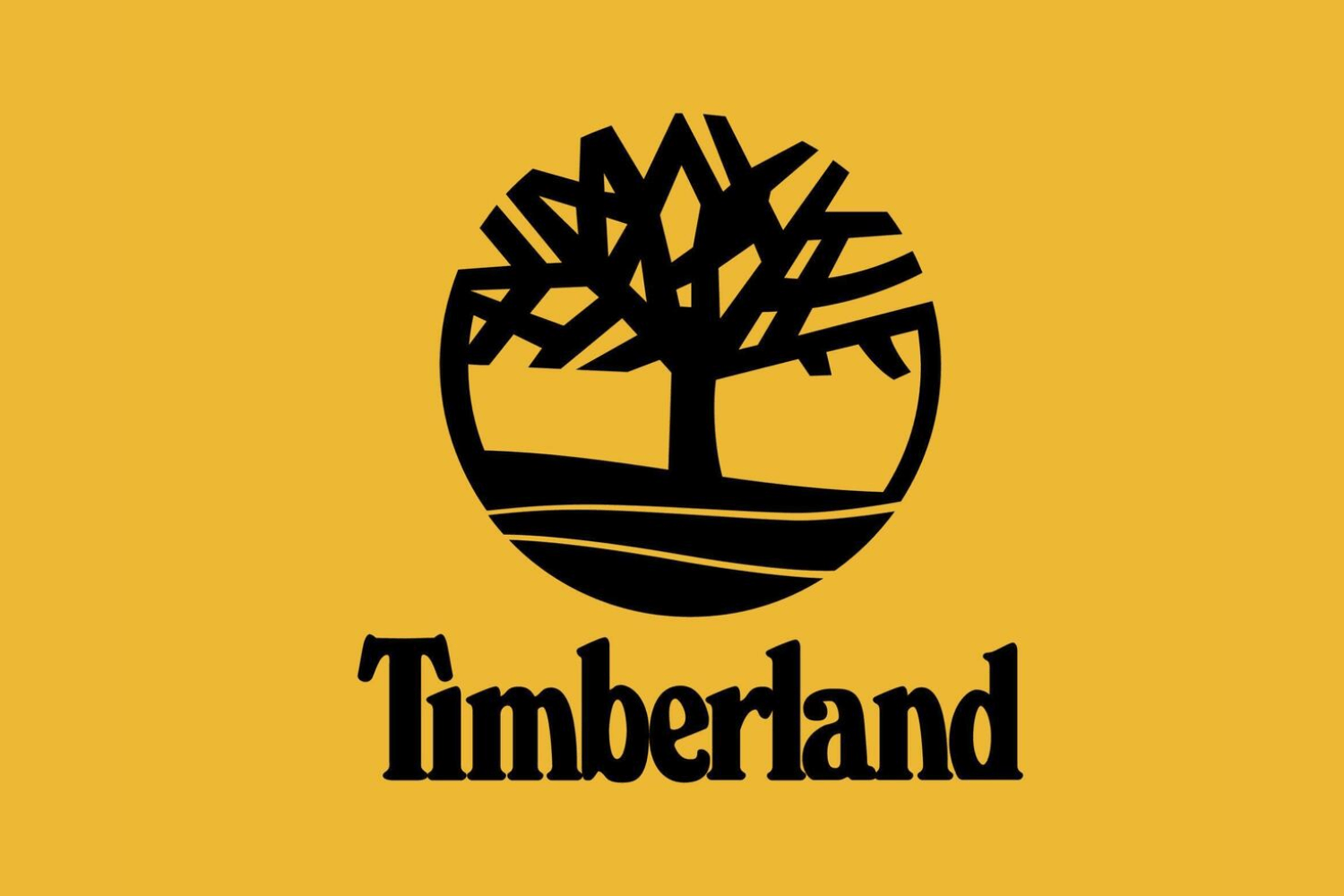 Das Ultimative Timberland FAQ