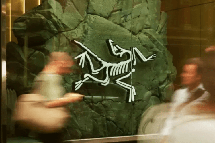 Know Your Size The Nike Dunk Sizing Guide