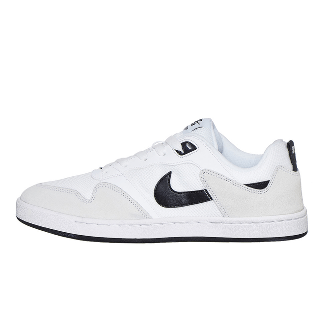 Nike SB Alleyoop CJ0882-100