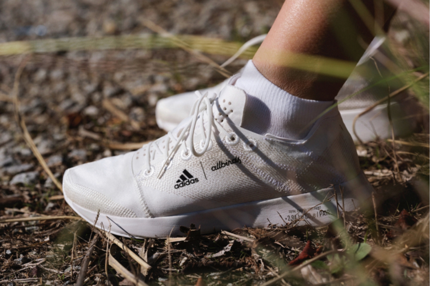 Die neue ADIZERO x ALLBIRDS Kollektion