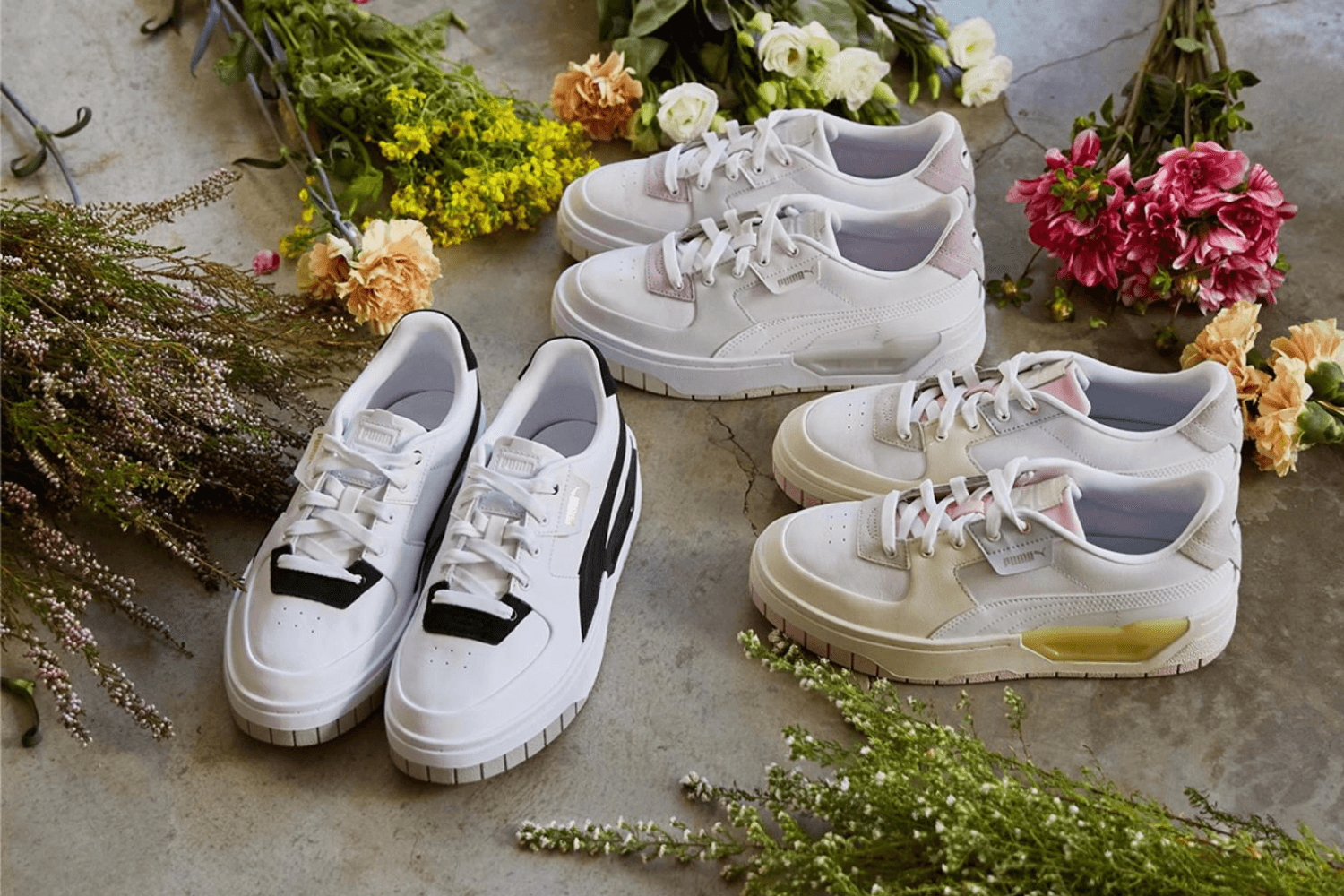 Das Ultimative PUMA Cali FAQ