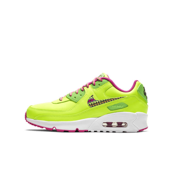 Nike Air Max 90 GS 'Tribal' CW5795-700