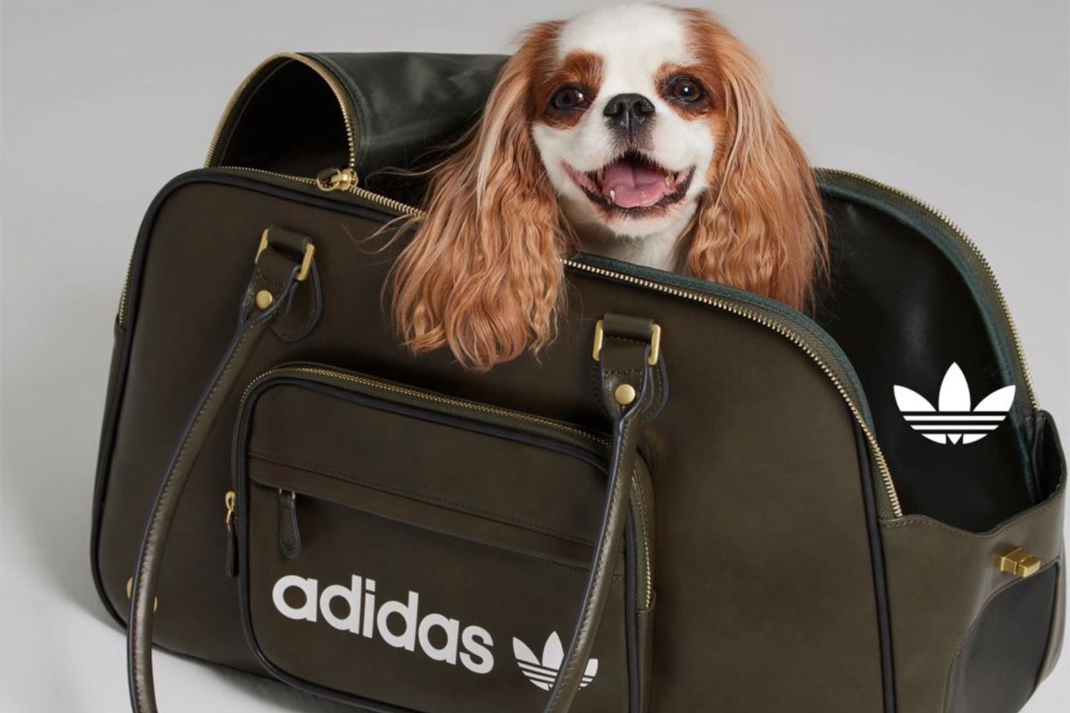 adidas Originals Releases Exclusive Collection for Animals