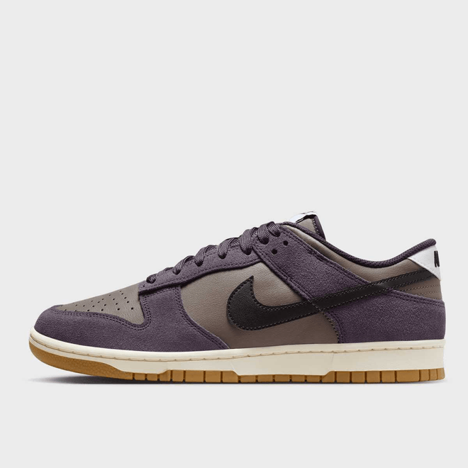 Nike Dunk Low Retro SE IB6399-201