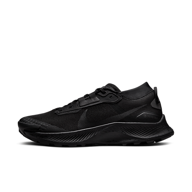 Nike Pegasus Trail 3 GORE DC8793-001