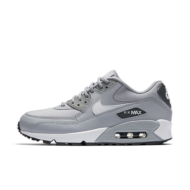 Nike Wmns Air Max 90 325213-048