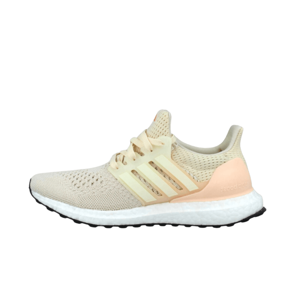 adidas Ultraboost 1.0 W HQ4208