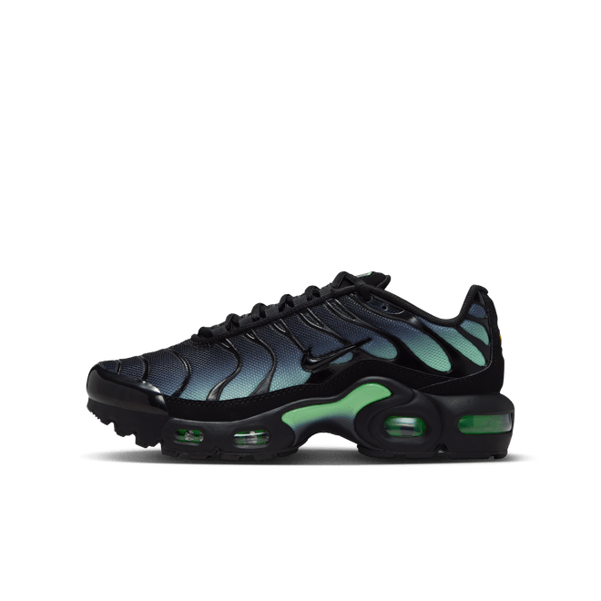Nike Air Max Plus Older Kids' CD0609-053