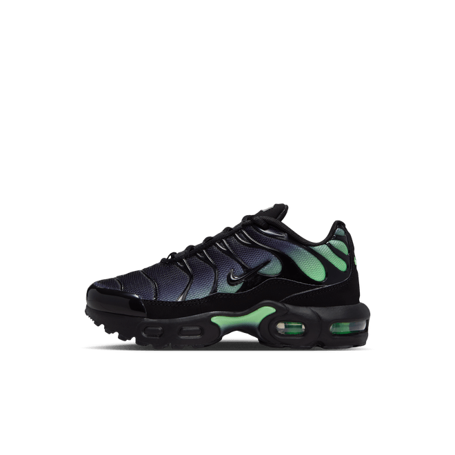 Nike Air Max Plus Younger Kids' FZ0023-053