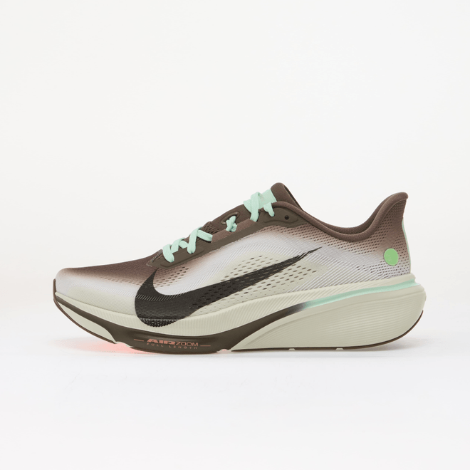 Nike Pegasus 42 Ironstone IW2349-001