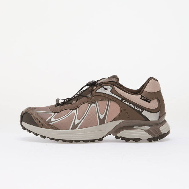 Salomon XT-Whisper GTX Iron L45397400