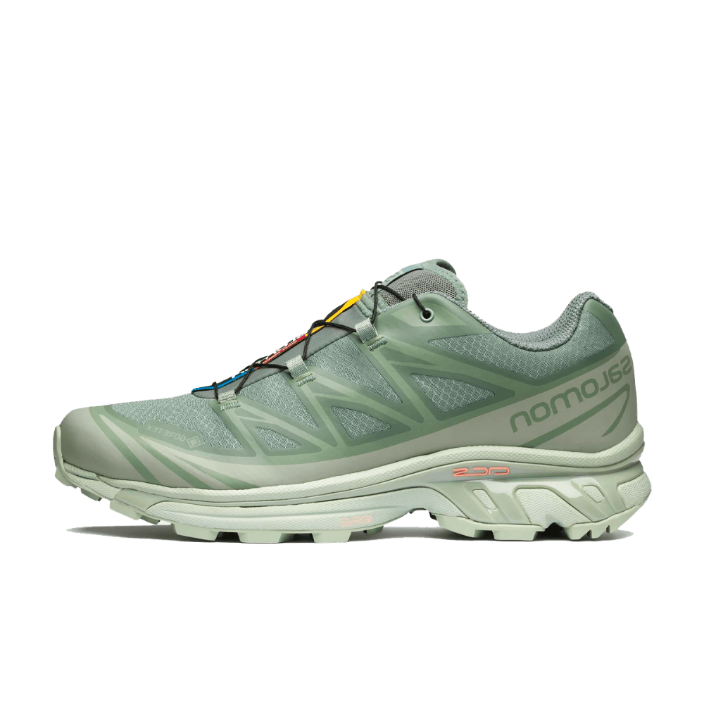Salomon XT-6 GTX 'Desert Sage' L47292000