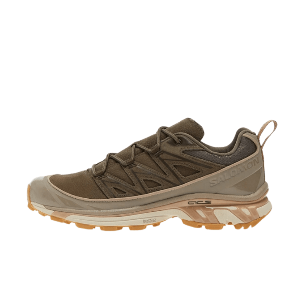 Salomon XT-6 Expanse Ltr Bungco/ Wren/ Almilk L47294900