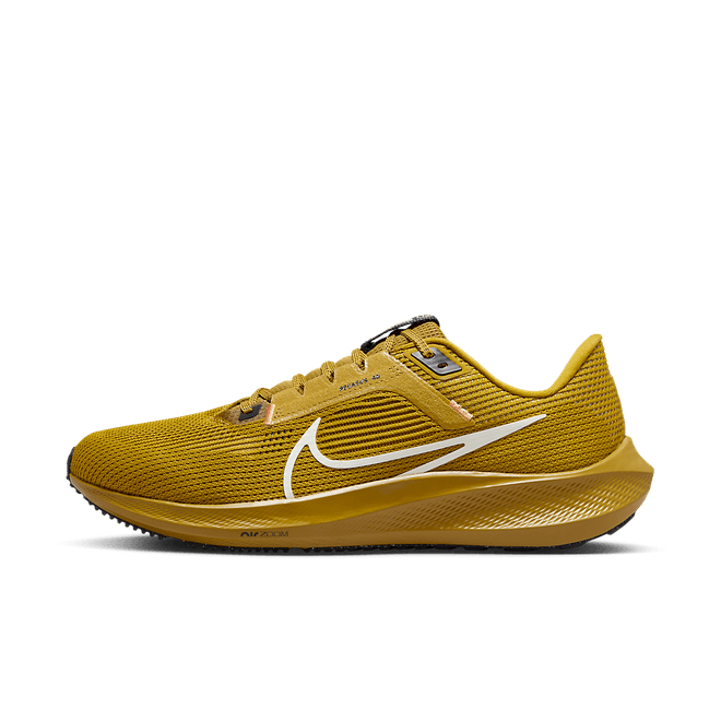 Nike Pegasus 40 Road DV3853-700