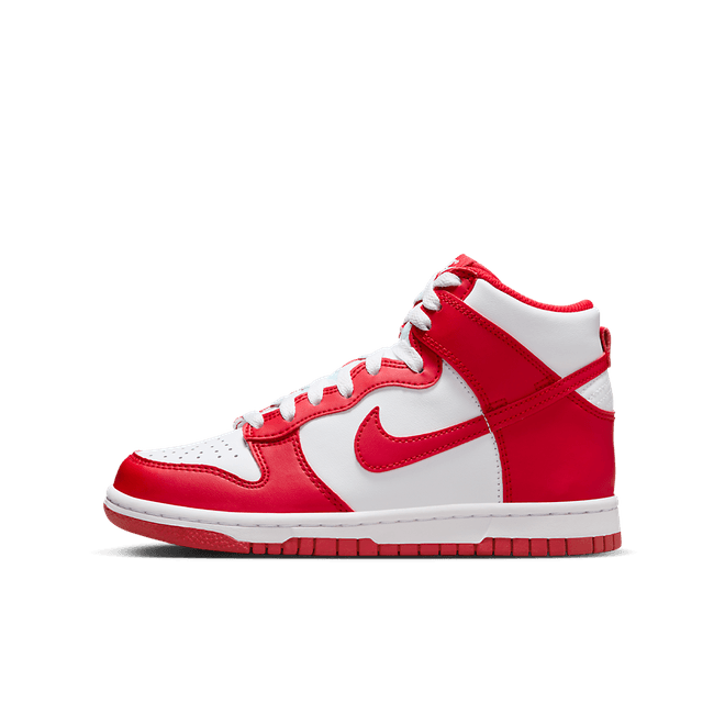 Nike Dunk High (gs) DB2179-115