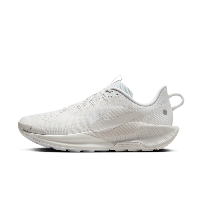 Nike Pegasus Trail 5 Trail DV3864-101