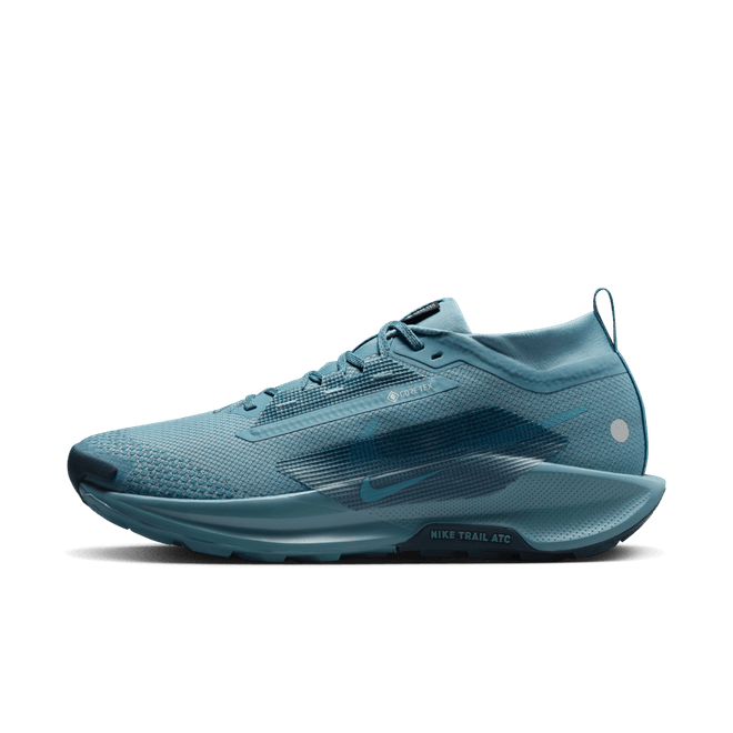 Nike Pegasus Trail 5 GORE-TEX Waterproof Trail FQ0908-005