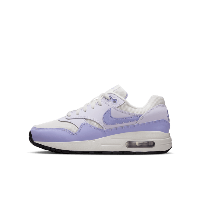 Nike Air Max 1 GS 'Hydrangeas' DZ3307-011