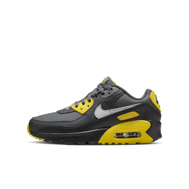 Nike Air Max 90 LTR Big Kids CD6864-702