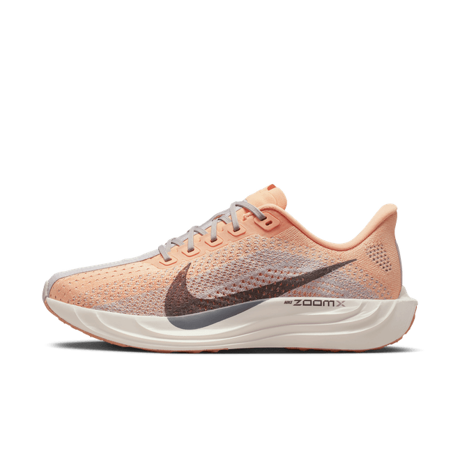 Nike Pegasus Plus Road FQ7261-702