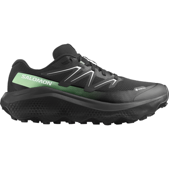 Salomon Ultra Flow 2 Gtx L47981400