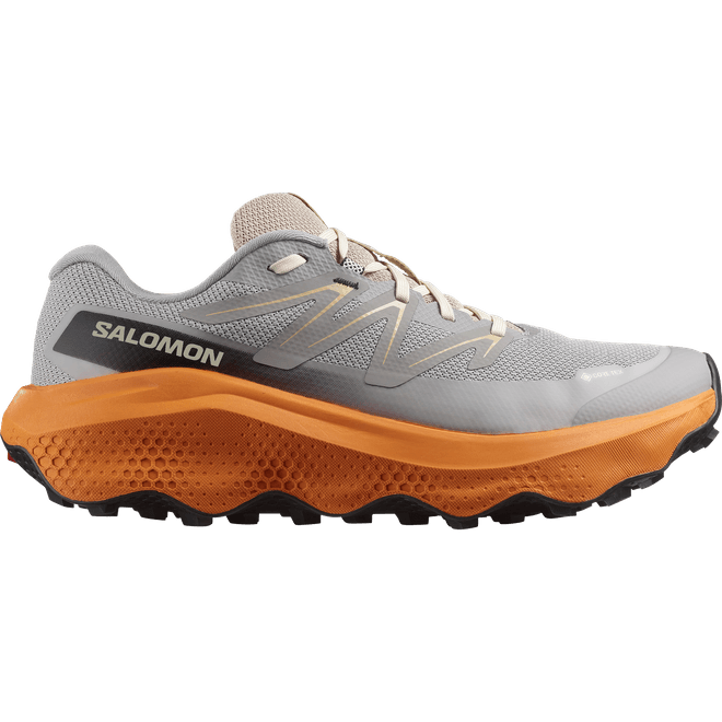 Salomon Ultra Flow 2 Gtx L47884200