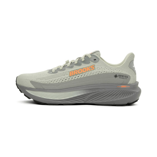 Brooks Ghost 17 GTX 110462-1D-022
