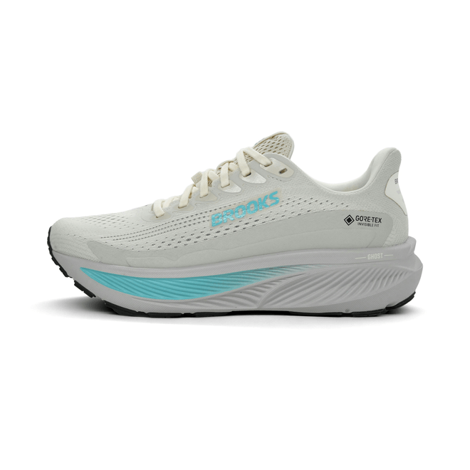 Brooks Ghost 17 GTX 120451-1B-138