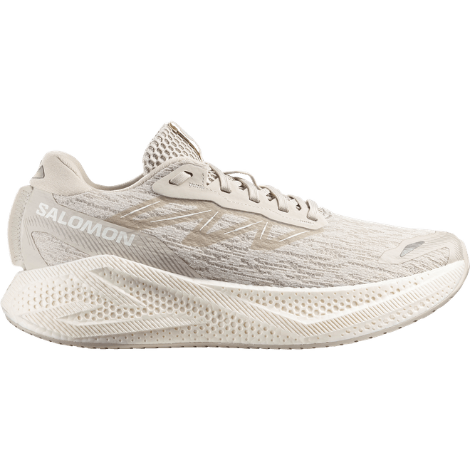 Salomon Aero Glide 4 L49147200