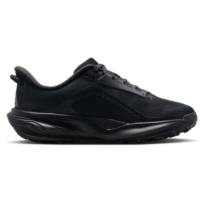 Nike Pegasus Kid's Black IH2305-003