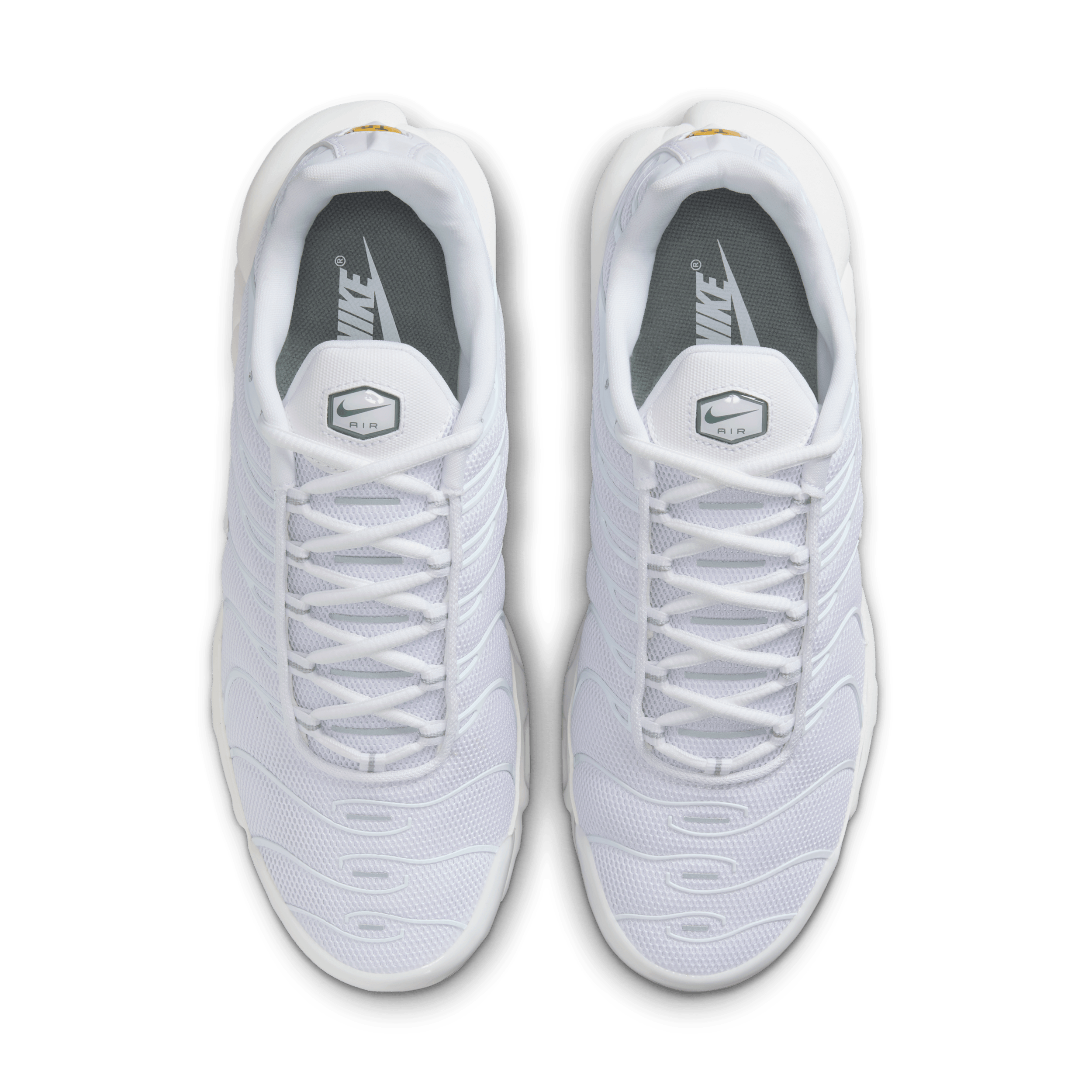 Nike Air Max Plus TN 'White' 604133-139