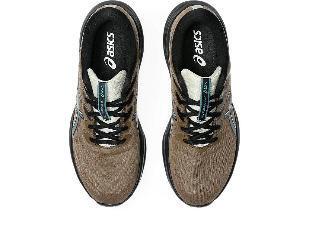 ASICS GEL-CUMULUS 27 GORE-TEX Clay Canyon 1011C048-201