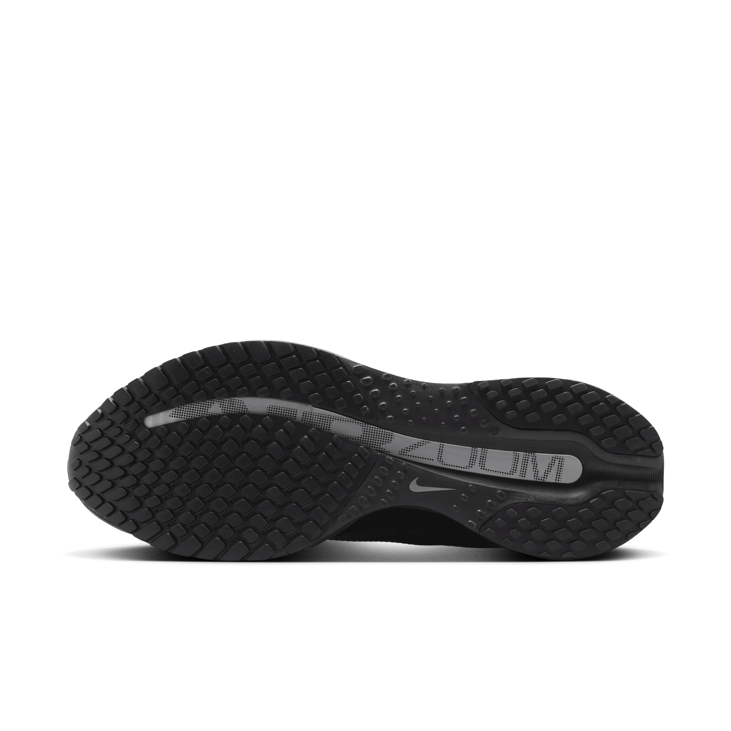 Nike Pegasus Premium 'Black & Metallic Silver' HQ2592-005