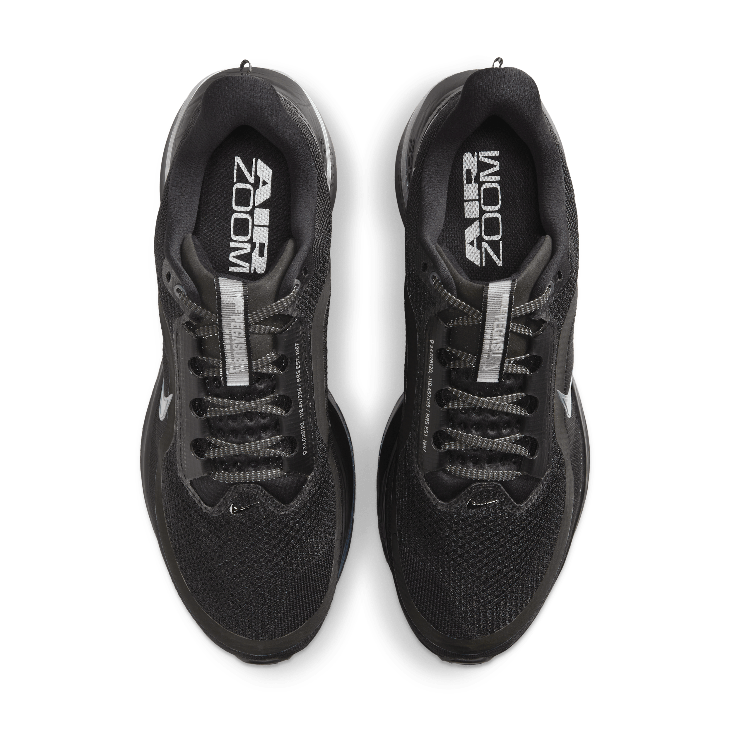 Nike Pegasus Premium 'Black & Metallic Silver' HQ2592-005