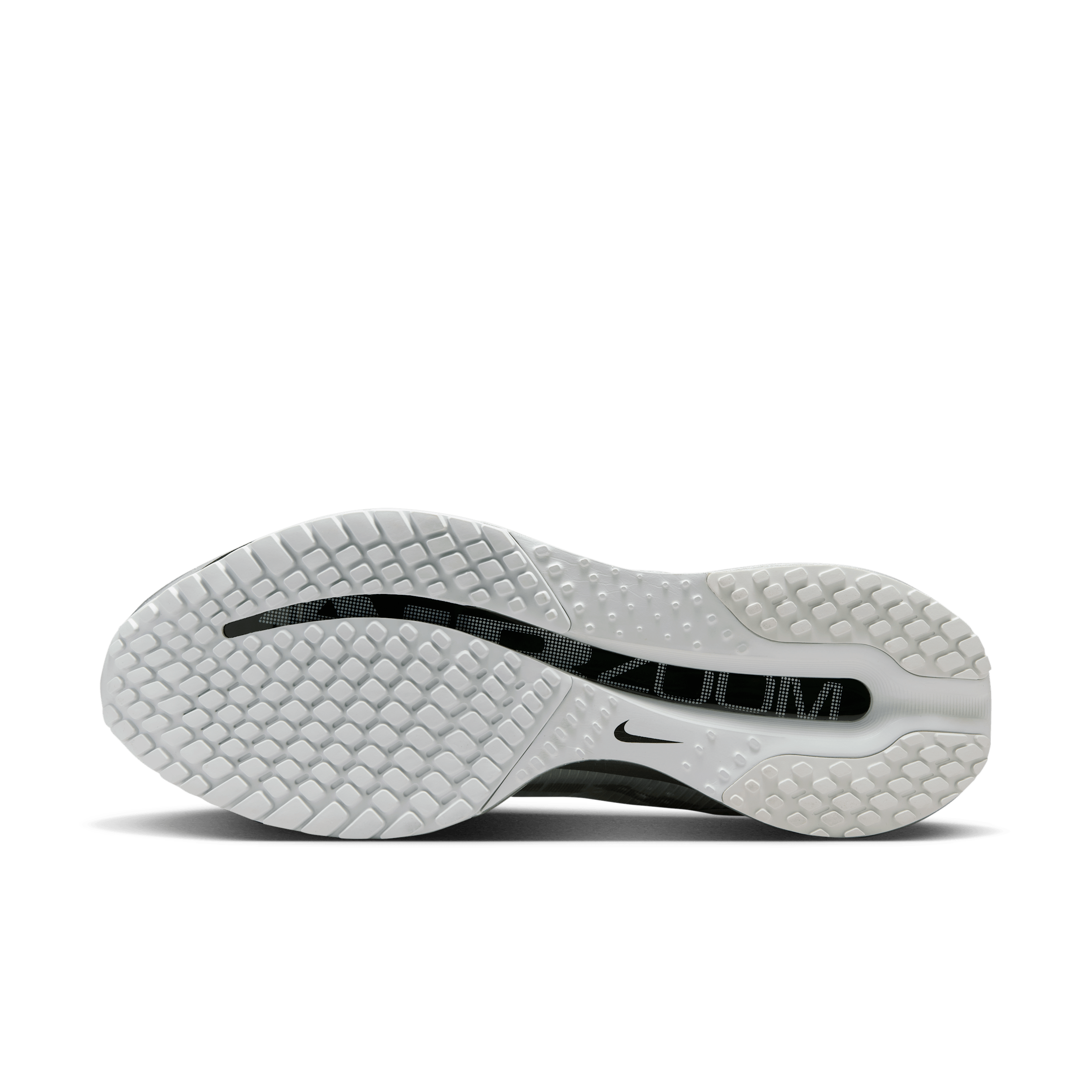 Nike Pegasus Grey IR1229-001