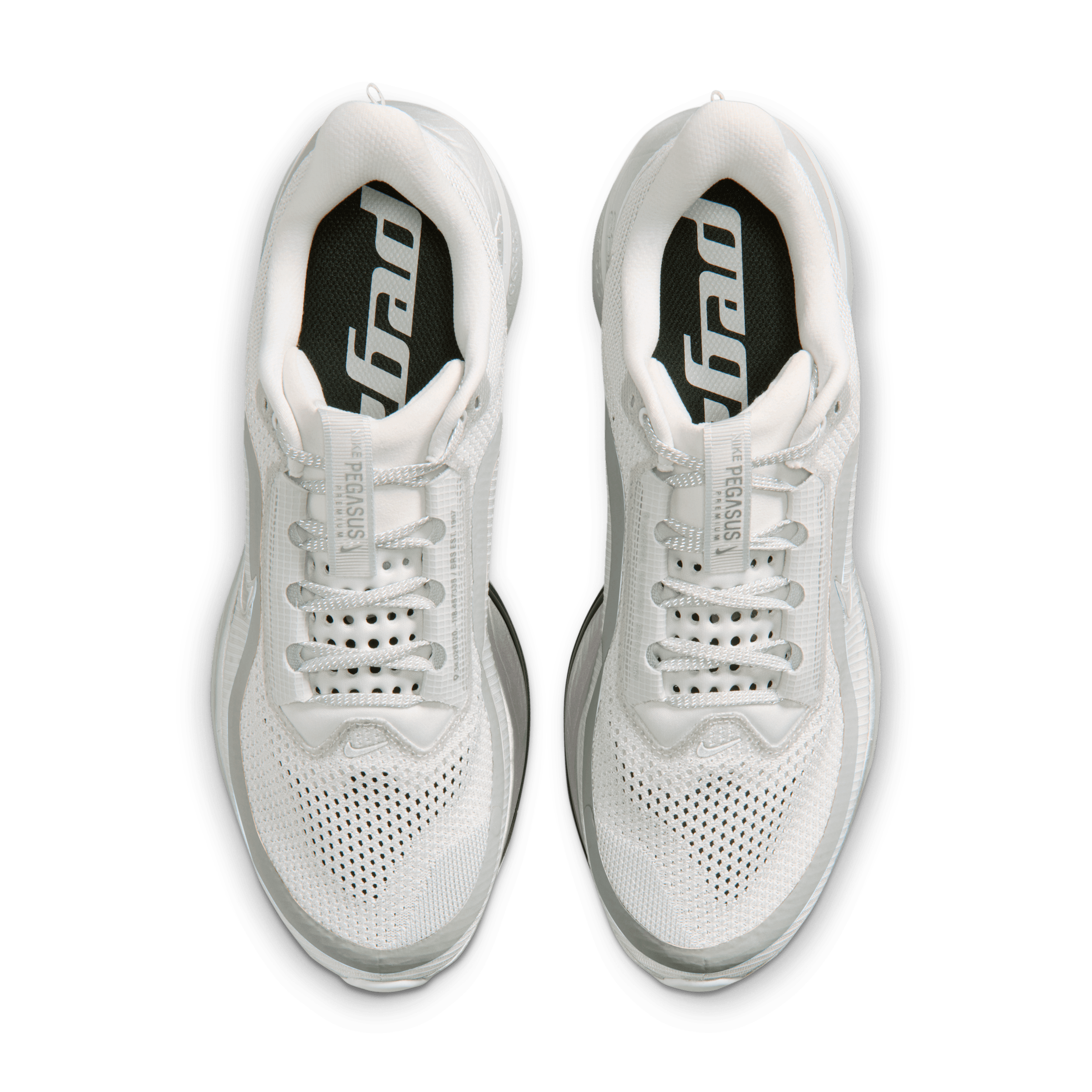 Nike Pegasus Grey IR1229-001