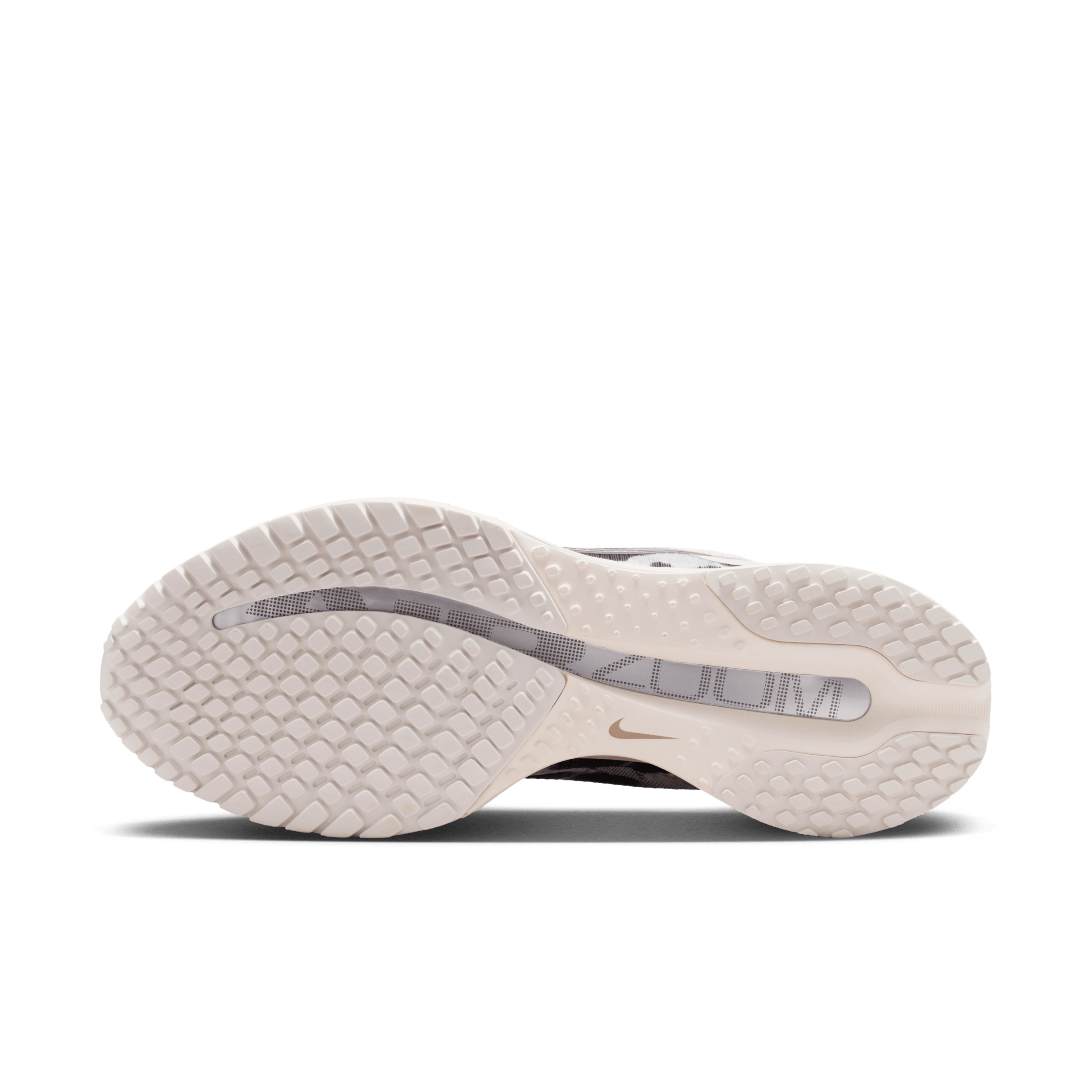 Nike Pegasus Premium SE Road IO8232-002