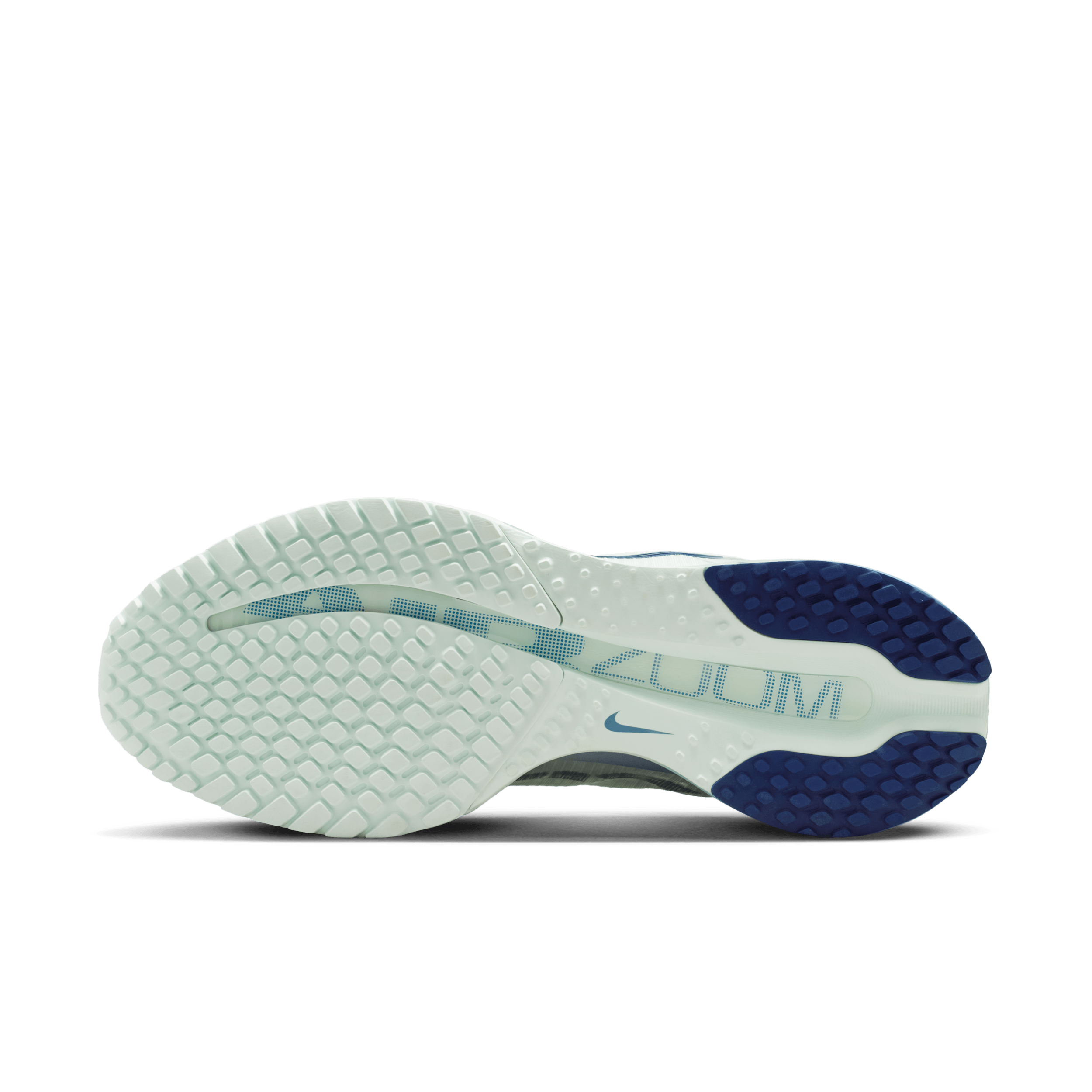 Nike Pegasus Premium 'Barely Green & Work Blue' HQ2593-301