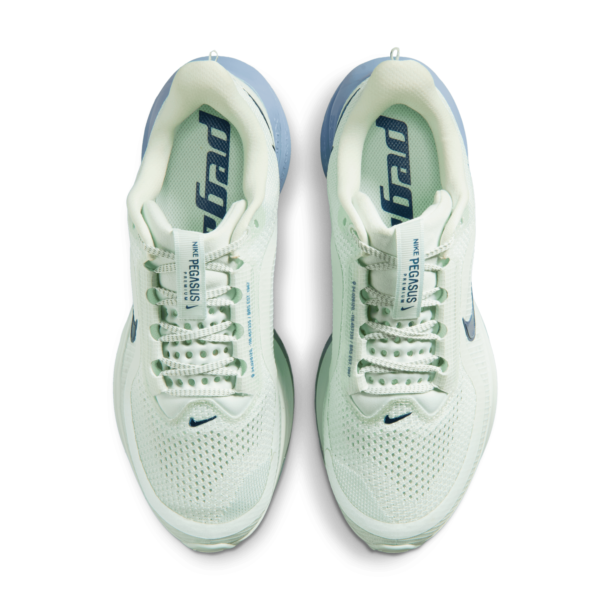 Nike Pegasus Premium 'Barely Green & Work Blue' HQ2593-301