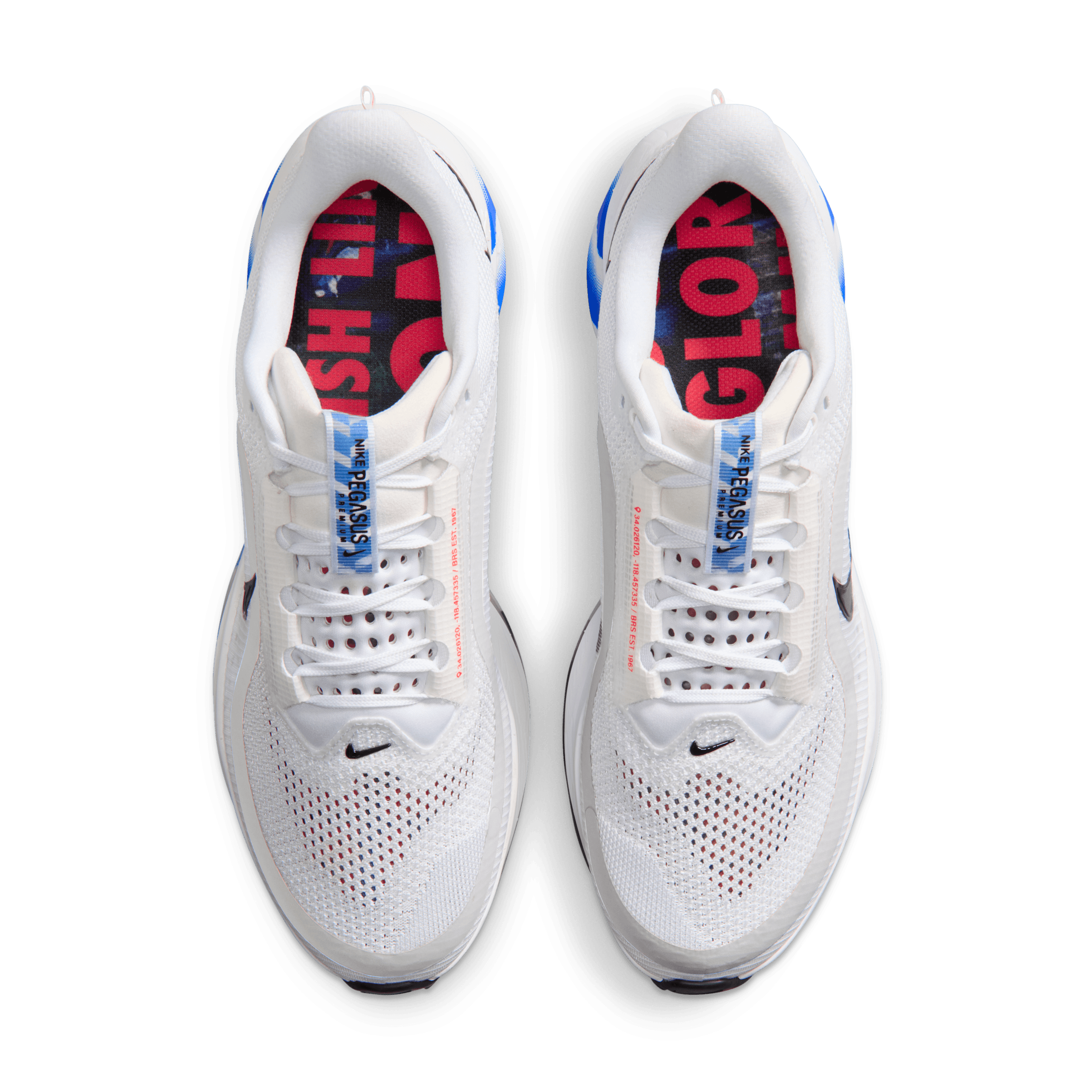 Nike Pegasus Premium Road II5262-100