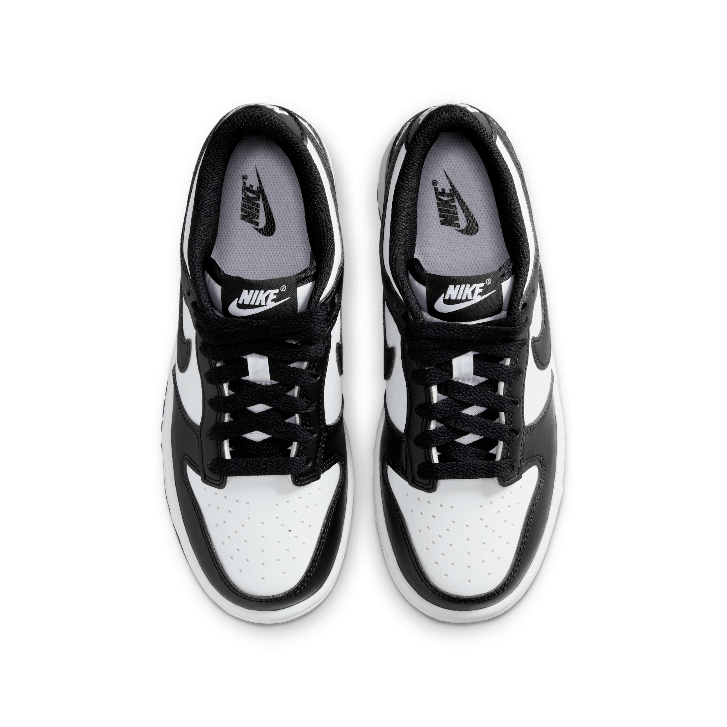 Nike Dunk Low IU7766-100