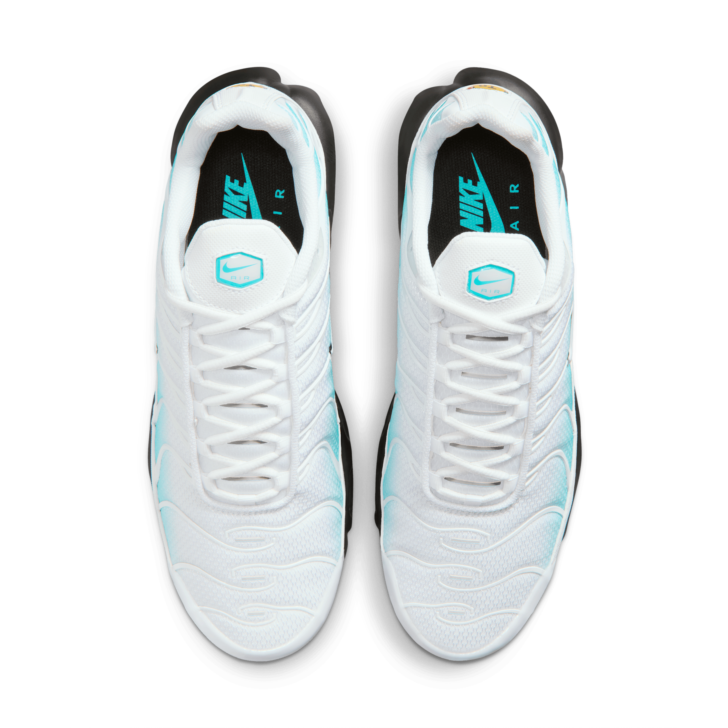 Nike Air Max Plus 'Dusty Cactus' IU7539-345