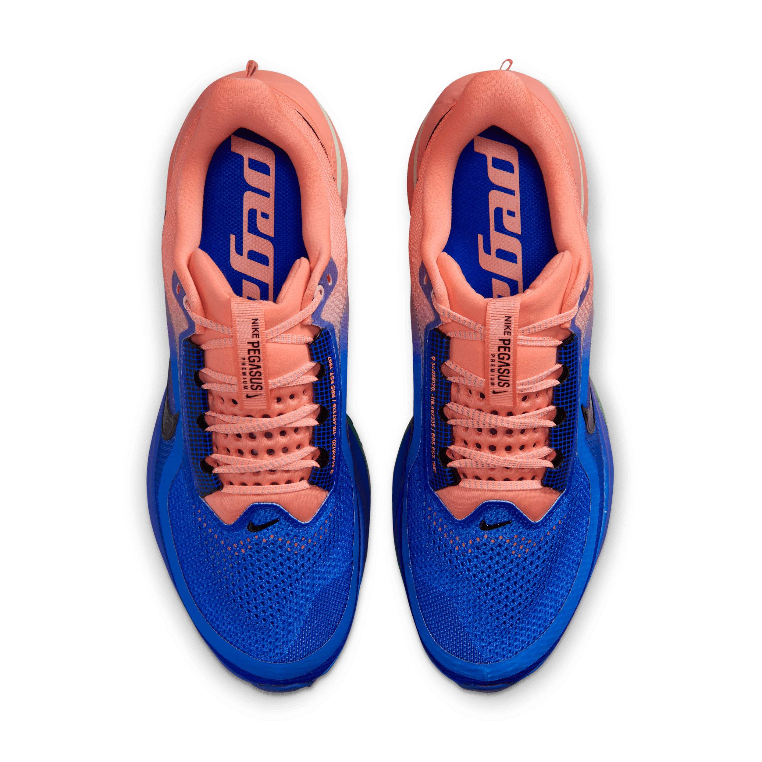 Nike Pegasus Premium Road HQ2592-401