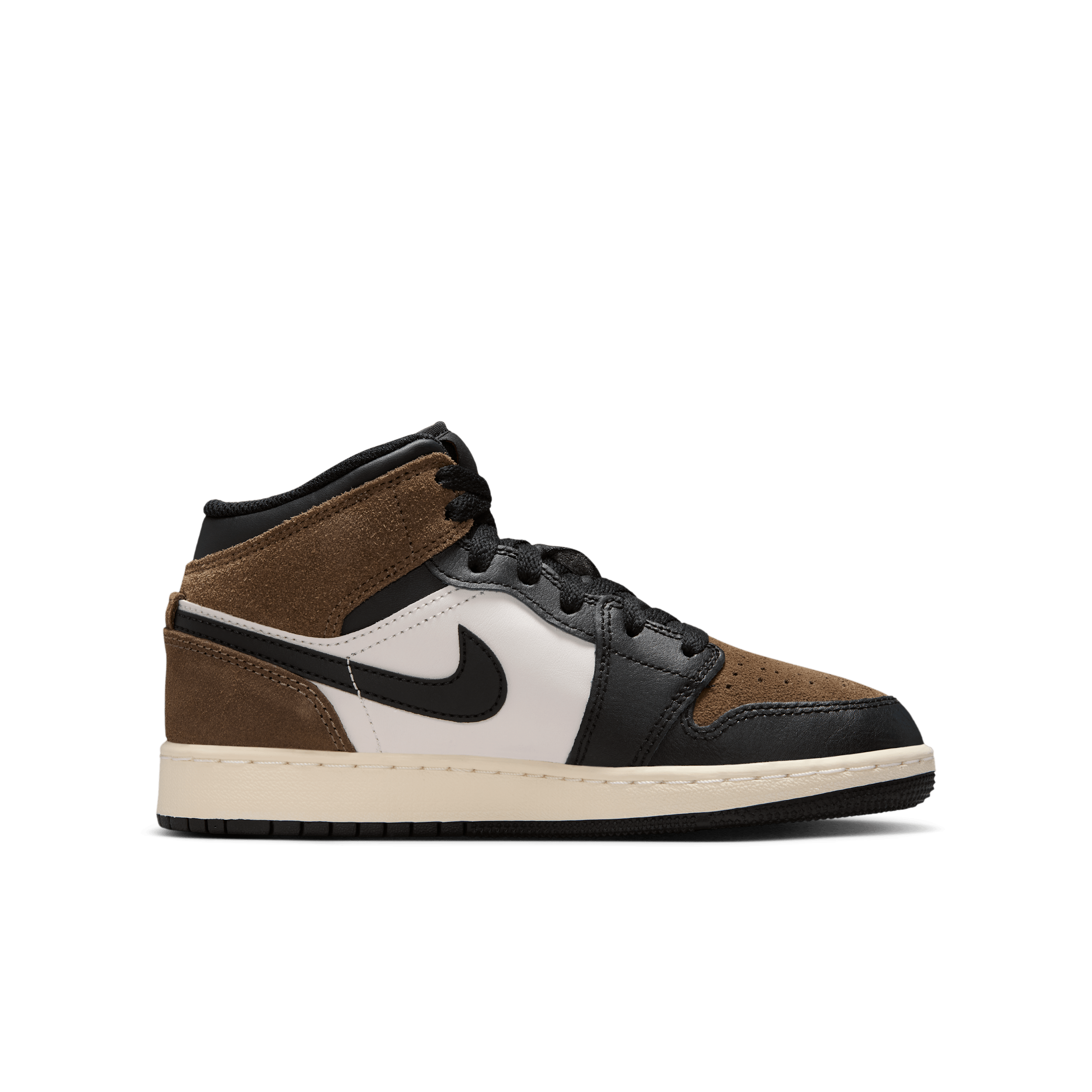 Air Jordan 1 Mid (GS) DQ8423-007