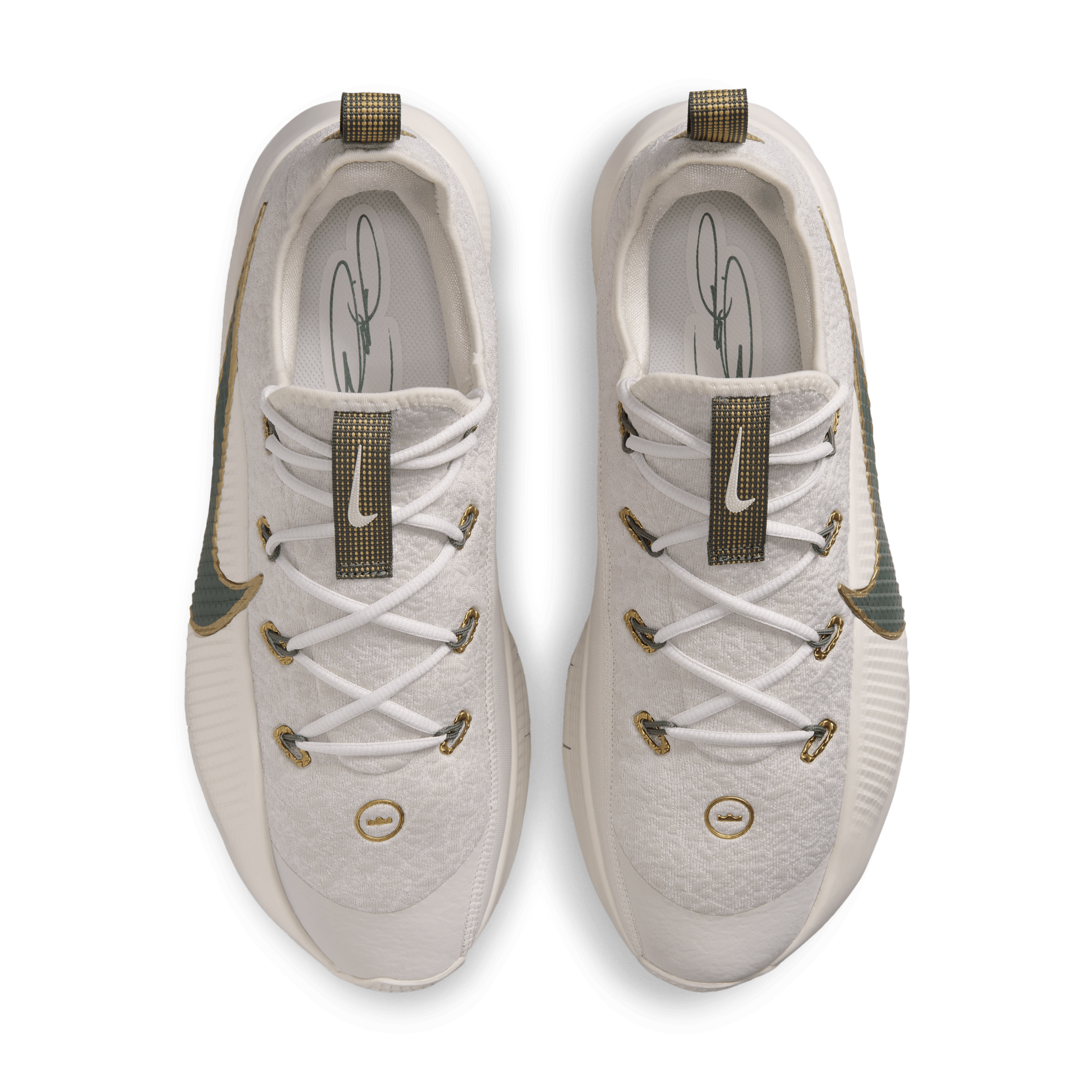 Nike LeBron TR 1 Workout FJ6151-009