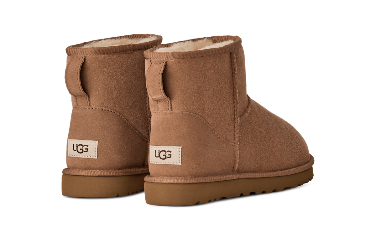 UGG Classic Mini Boot Men Brown 1002072-CHE