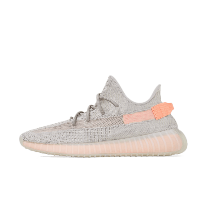 adidas Yeezy Boost 350 'True Form' EG7492