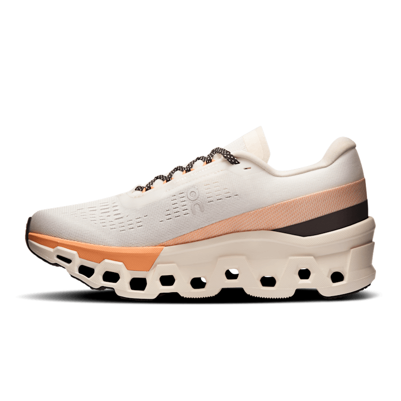 ON Cloudmonster 2 'Beige' 3WE10113202