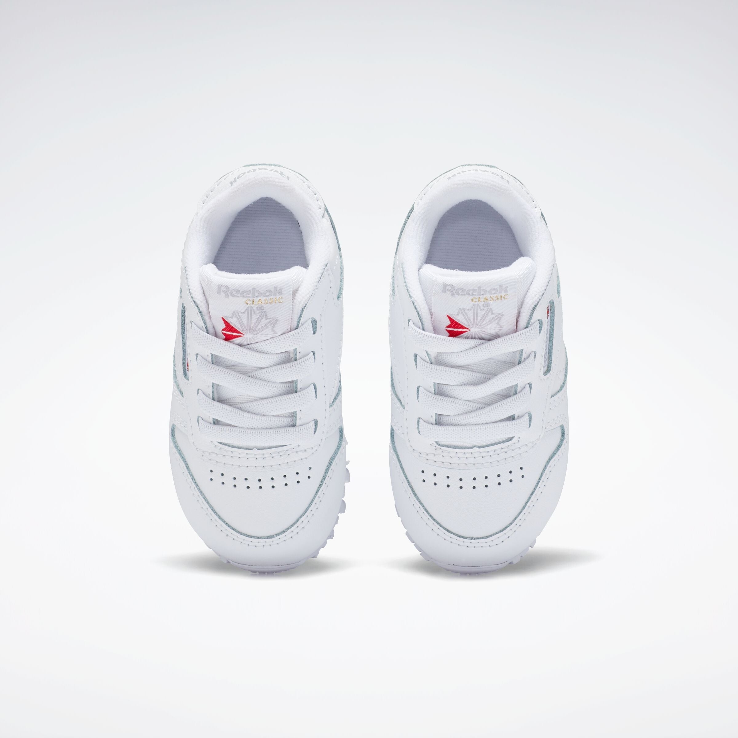 Reebok Classic Leather Schoenen FZ2093