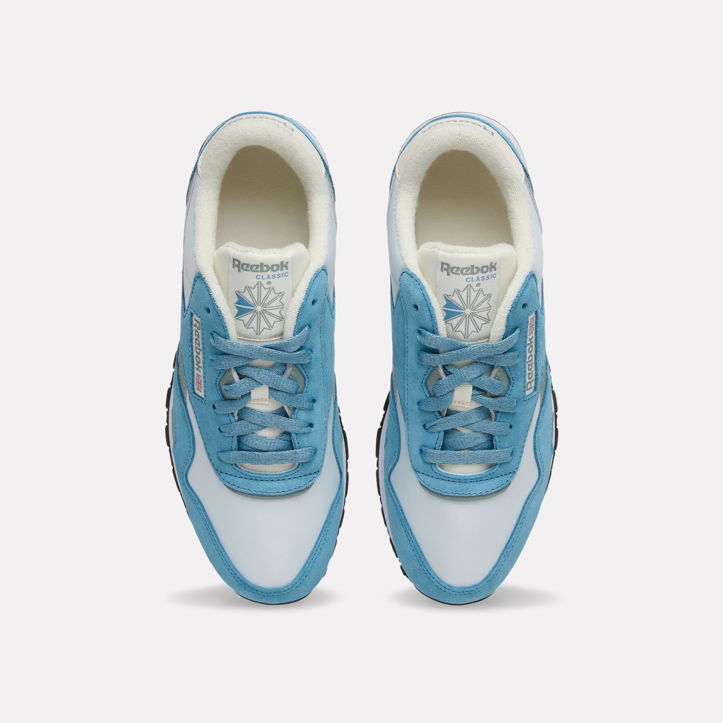 Reebok Classic Nylon 'Warppedblue' 100245060